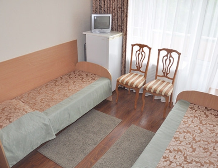 Стандартный 2-местный номер 1 категории - Санаторий «Имени Станко»